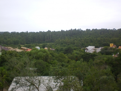 engDebora