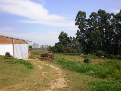 engDebora