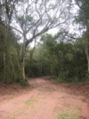 engDebora