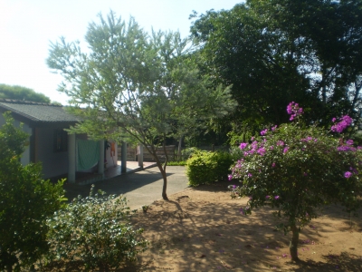 engDebora