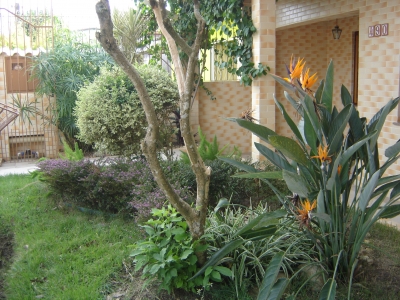 engDebora