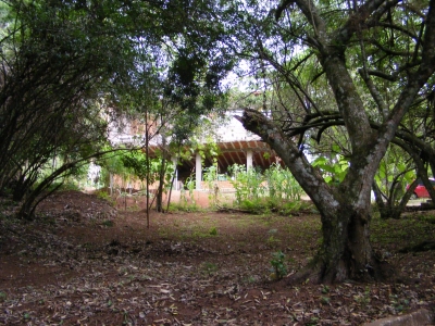 engDebora