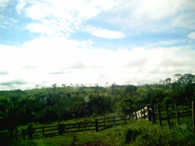 engDebora