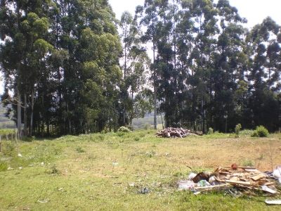 engDebora