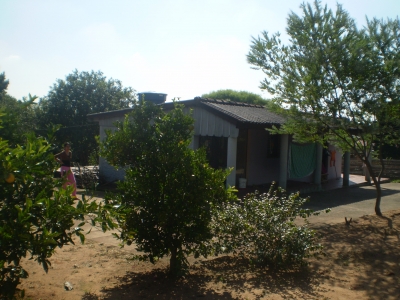 engDebora