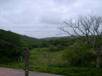 engDebora