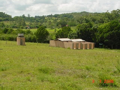 engDebora