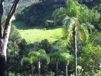 engDebora