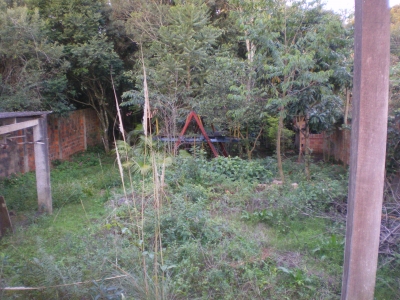 engDebora