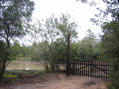 engDebora