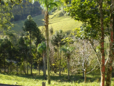 engDebora