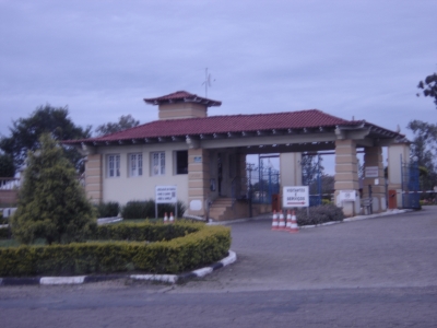 engDebora
