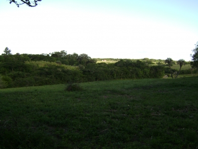 engDebora