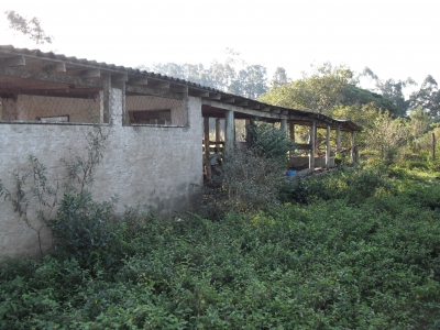 engDebora